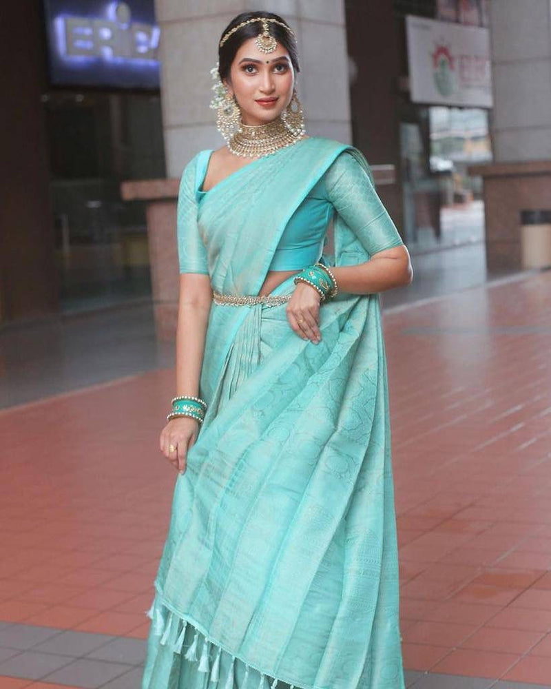 Sky blue embroidered net saree with blouse - KAD CREATIONS - 3423554