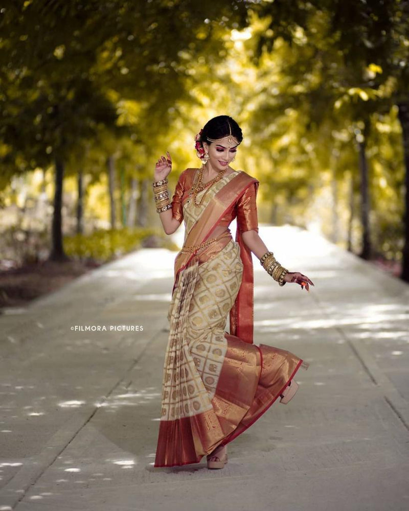 Image of Indian traditional Beautiful Woman Wearing an traditional Saree  And Posing On The Outdoor With a Smile Face-CV138394-Picxy